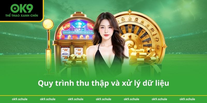 Quy trình thu thập và xử lý dữ liệu