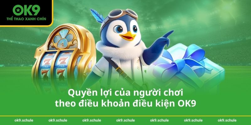 Quyền lợi của người chơi theo điều khoản điều kiện OK9